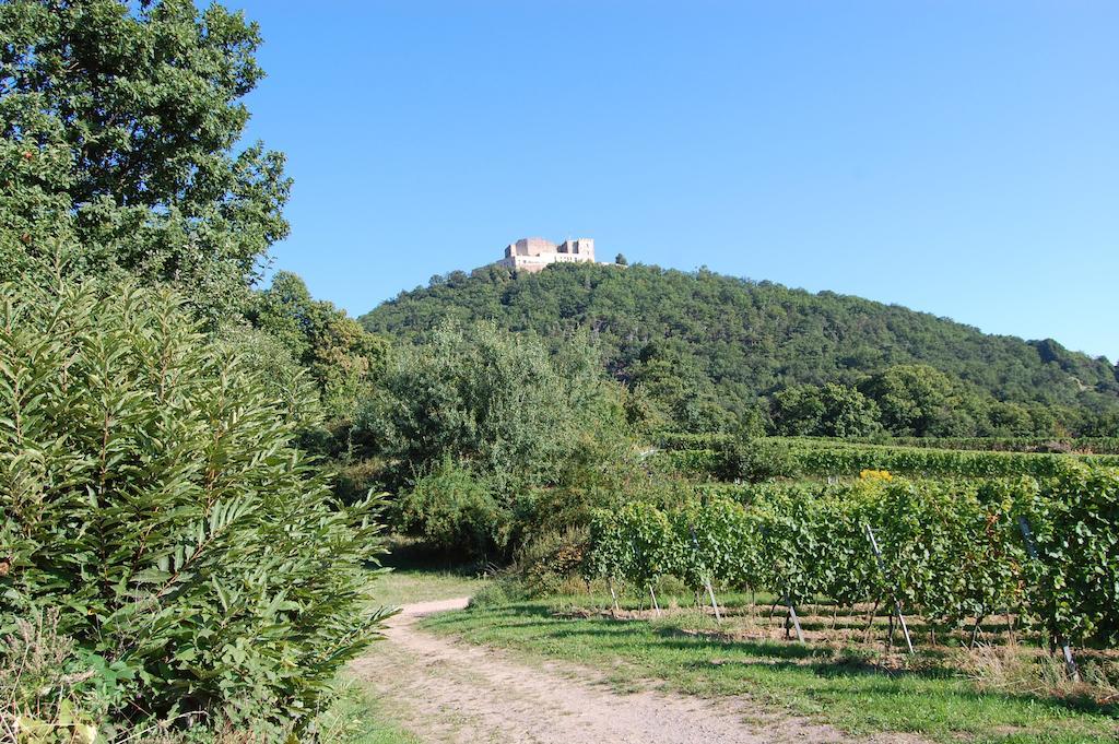 Landgasthof Jaegerstuebchen Нойштадт-ан-дер-Вайнштрасе Экстерьер фото